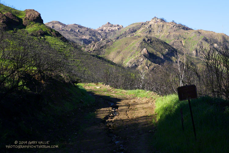 The start of the Bulldog climb.