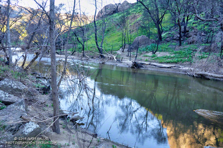 A broad section of Malibu Creek downstream of the M*A*S*H site. March 16, 2019.