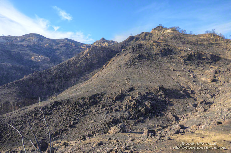 Area of high soil burn severity along Bulldog Mtwy.