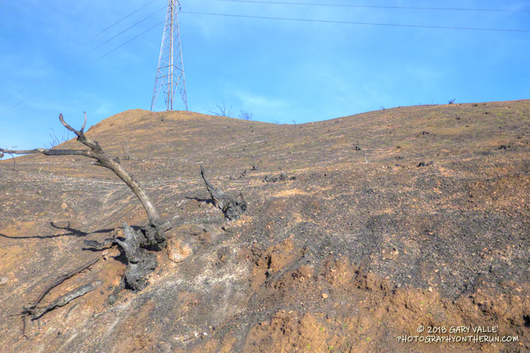 Burned slopes above Bulldog Mtwy.