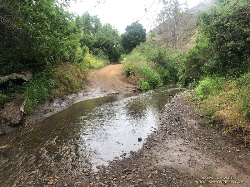One of about ten creek crossings on Sycamore Canyon Road, between the Serrano Canyon Trail junction and Wood Canyon. May 21, 2023.