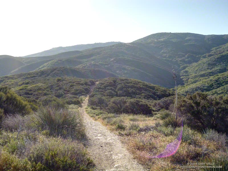 A break in the climb from Bouquet Canyon to Sierra Pelona Ridge.