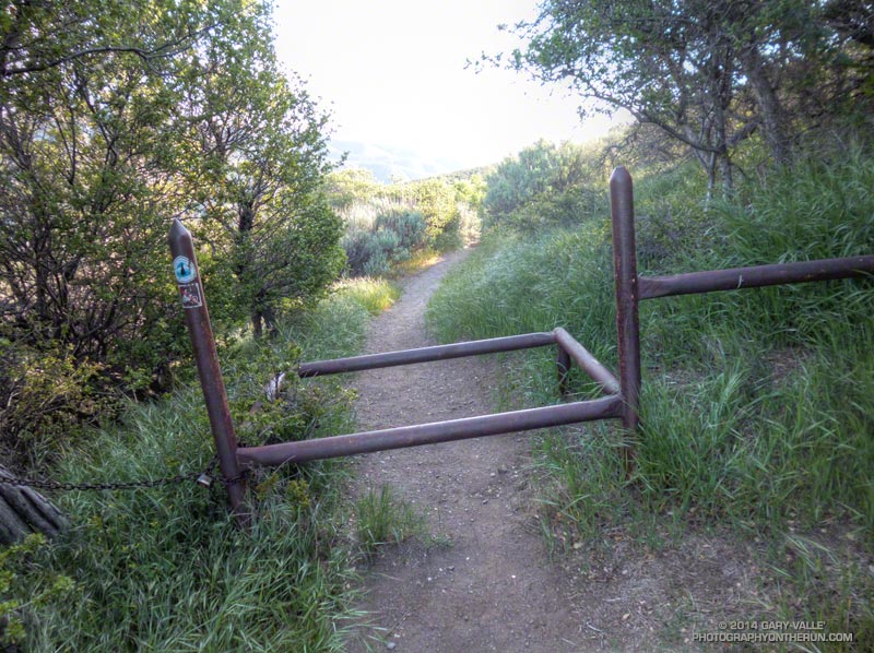 Trail guard on the PCT on the north side of Sierra Pelona Ridge.