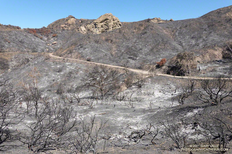 Eagle Rock and Eagle Springs area. June 13, 2021.