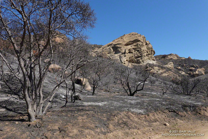 Eagle Rock from Eagle Springs Fire Road. June 13, 2021.