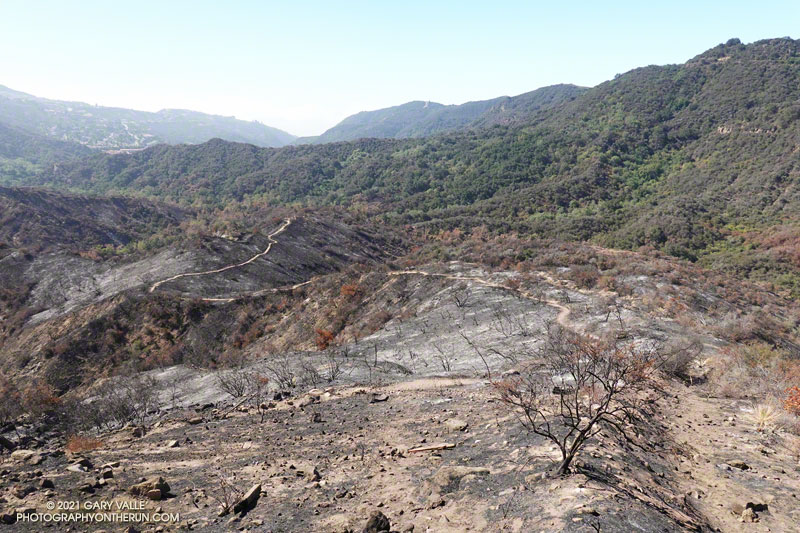 View down the Santa Ynez Canyon Trail. June 13, 2021.