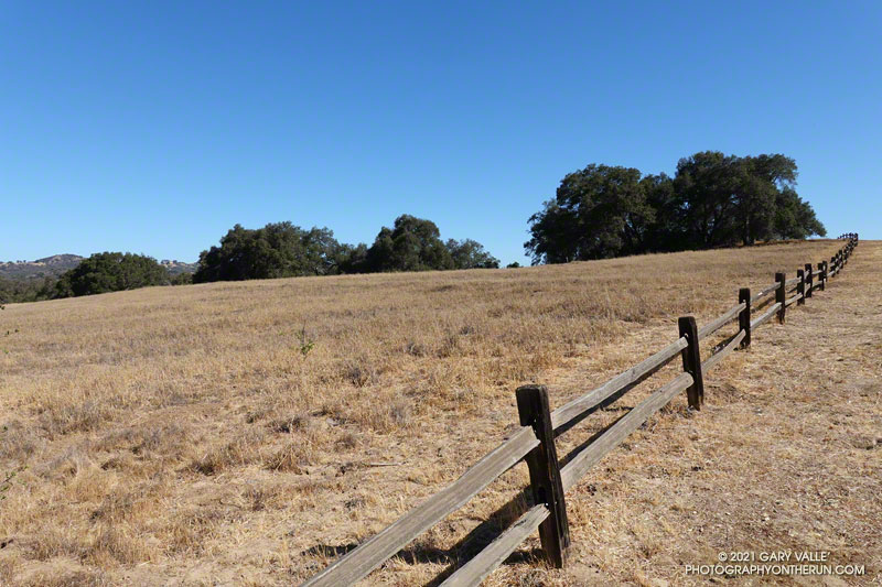 Trippet Ranch grassland.  The Palisades Fire was held south and east of Eagle Springs Fire Road in the Trippet Ranch area. June 13, 2021.
