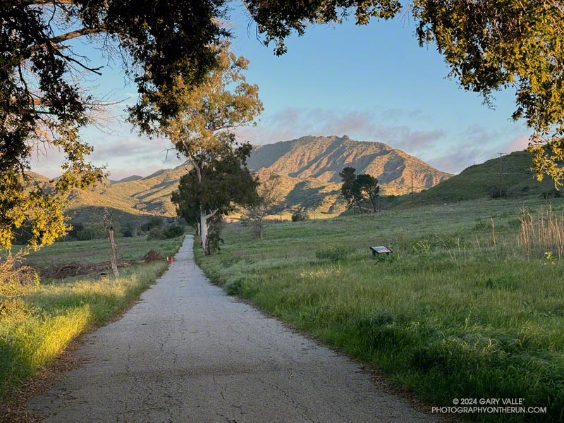 Ladyface from the Reagan Ranch service road.