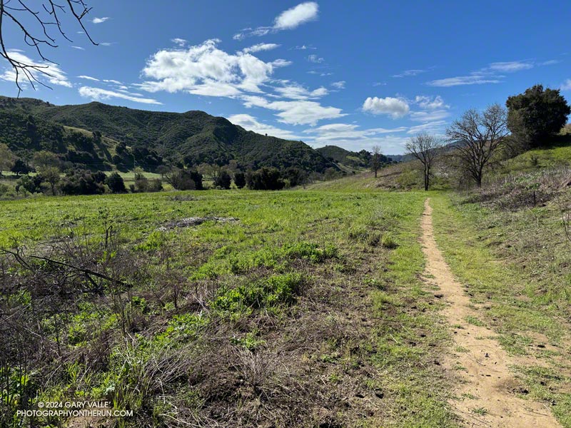 Pleasant running -- even if a little wet in spots -- on  the Las Virgenes Trail/Fire Road.