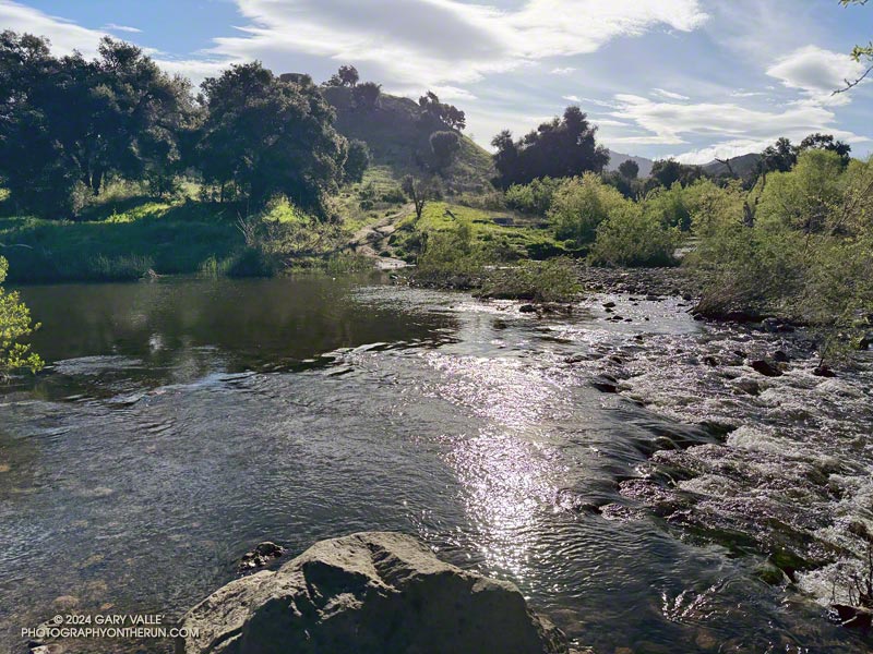 Getting ready to wade across Malibu Creek on the Crags Road Trail. March 24, 2024.