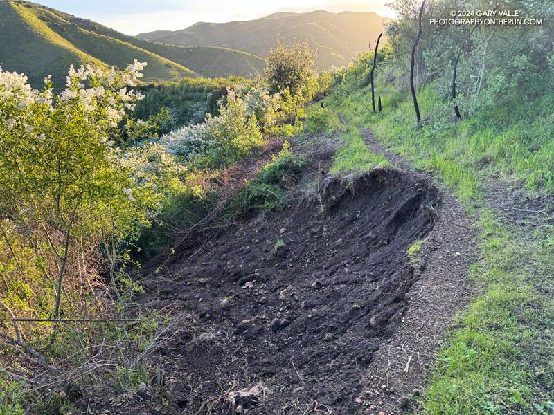 A section of the Lake Vista Trail that collapsed in a small slide. It was easy to get around. March 24, 2024.