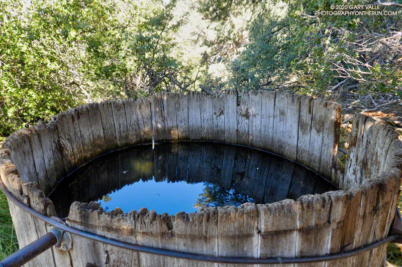 The cistern at Mesa Spring. Would be interesting to monitor the wildlife that visits the cistern with a trail camera. August 29, 2020.
