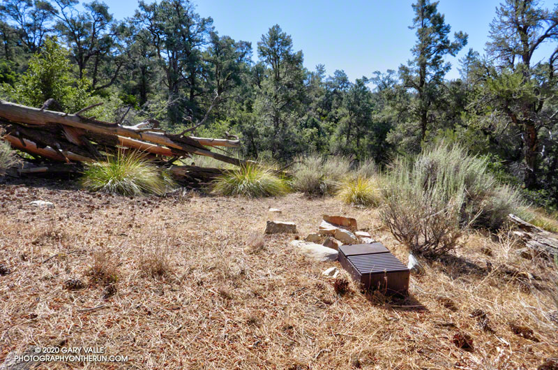 One of two campsites at Mesa Spring Camp. This one is near the spring. August 29, 2020.