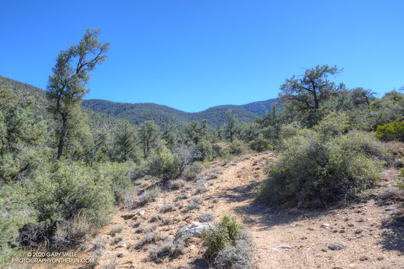 Working up and over from Mesa Spring to "Puerto del Suelo" canyon on the way back to the high country.