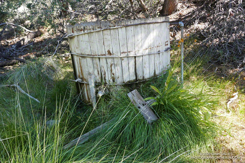 San Emigdio Mesa Spring. Elevation is about 5975'. August 29, 2020.