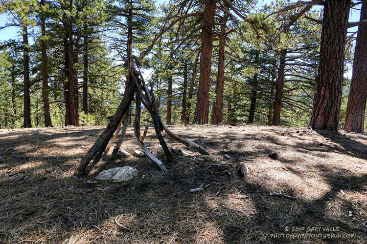 The north summit of Grouse Mountain (8582'). The use trail leads to the south summit, but the north summit, a couple-hundred yards away, is marked on the topo as the high point.