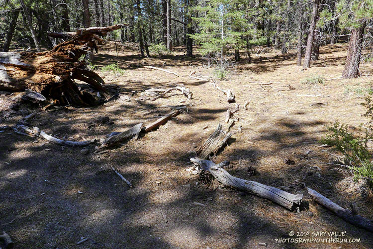 The Mesa Spring Trail  branches southwest off the Vincent Tumamait Trail about 0.6 mile from Mt. Abel (Cerro Noroeste) Rd at a saddle labeled Puerta Del Suelo on the topo.