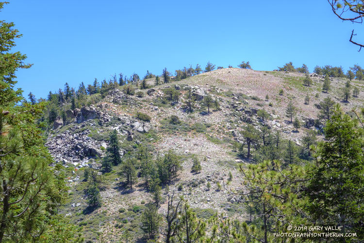 Mt. Pinos from the west, from the Vincent Tumamait Trail.