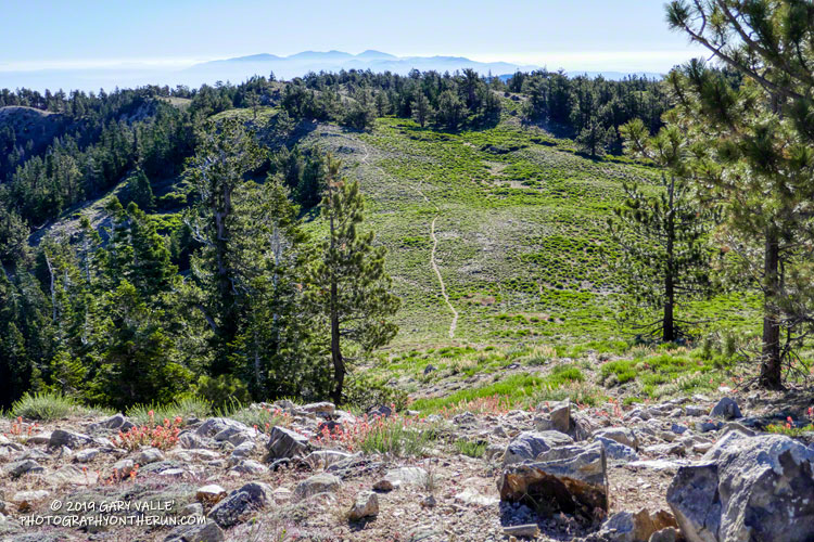 View ENE from the summit of Mt. Pinos. The Tehachapi Mountains are in the distance, the highest of which is Double Mountain (7981').