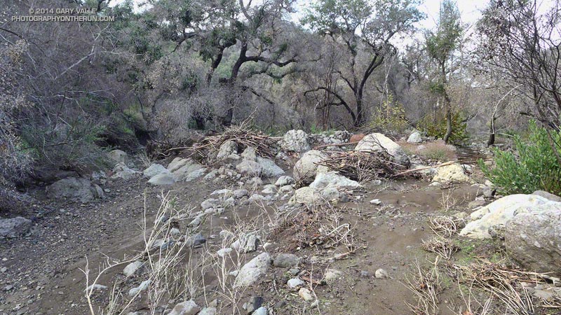View downstream in Blue Canyon from about the same point as the previous photo.