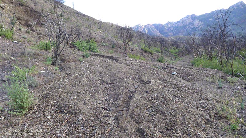 Slope failure and mud flow across the Blue Canyon Trail.