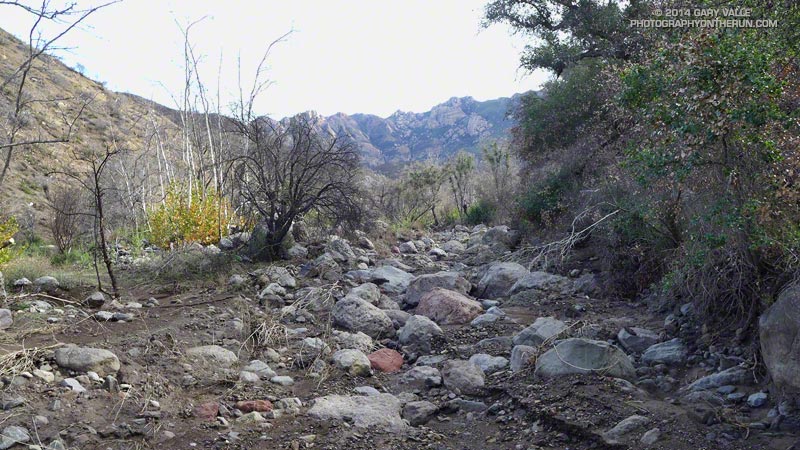View up the stream course in Blue Canyon.