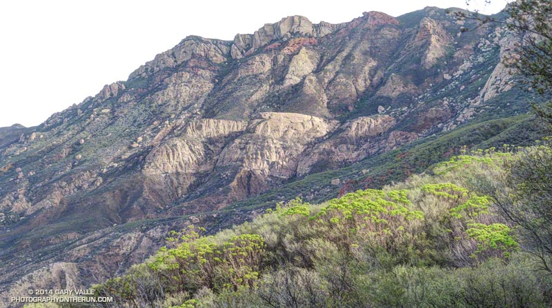 Boney Mountain's western escarpment from the Backbone/Chamberlain Trail in Pt. Mugu State Park. The reddish rock in the previous photo can be seen on the upper right skyline.