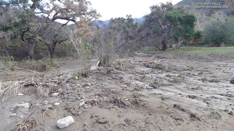 Outflow from Blue Canyon at Sycamore Canyon near the Danielson Multi-Use Area.