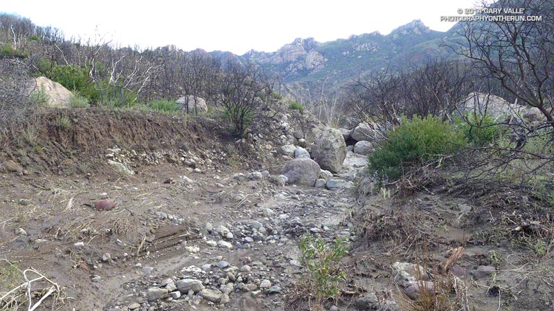 Stream course in upper Blue Canyon from the Old Boney Trail. Boney Mountain escarpment is in the background. Scouring along the banks is indicative of the depth of the flow.