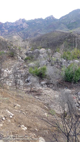 Overview of the stream course in upper Blue Canyon.