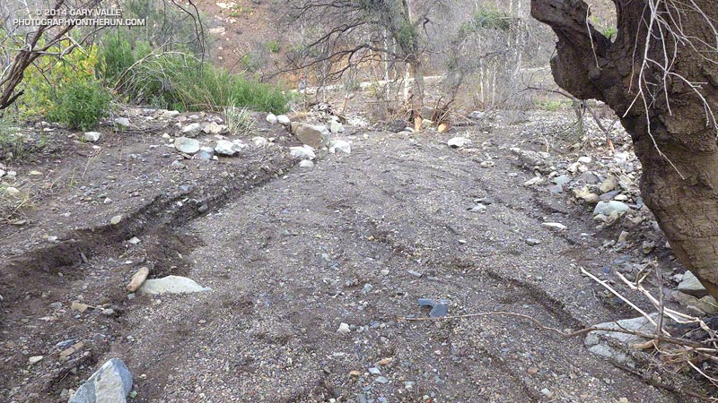 View from the Upper Sycamore Trail down the stream channel. This is just upstream of the bridge on Sycamore Canyon Fire Road.