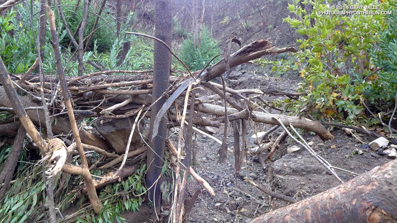 Very small catchments generated surprisingly strong flows. This is the mouth of a small ravine on the east side of upper Sycamore Canyon along the Upper Sycamore Trail. 