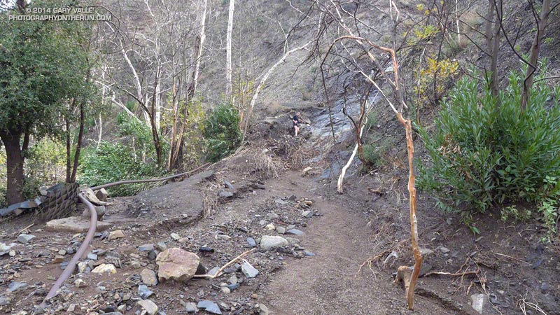 View up the Upper Sycamore Trail of outflow from rocky chute on the south side of the canyon. Note the runner descending the scoured area at the base of the chute.