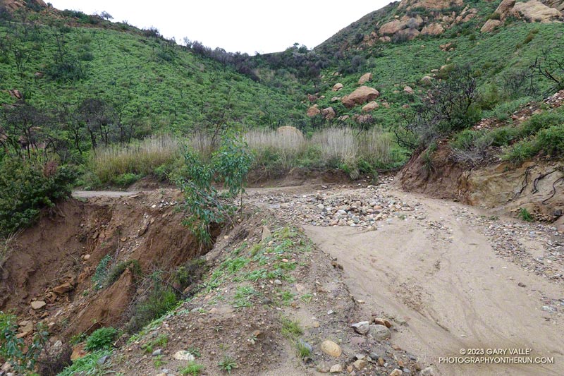 Runoff and debris from ravine on Eagle Springs Fire Road.  January 15, 2023.