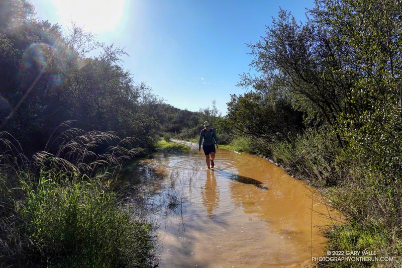 Wet section of the Rogers Road segment of the Backbone Trail on New Year's Day 2023.