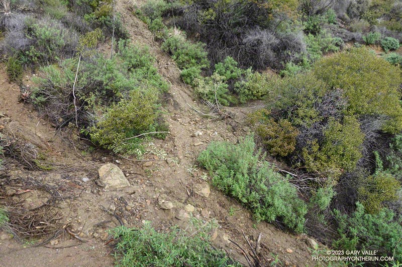 Small mudslide on the Bent Arrow Trail.  January 15, 2023.