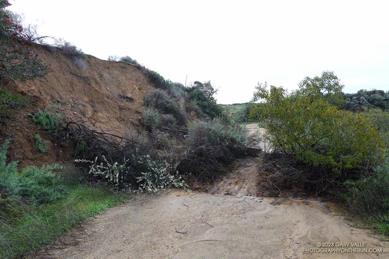 Mudslide on Temescal Ridge Fire Road.  January 15, 2023.