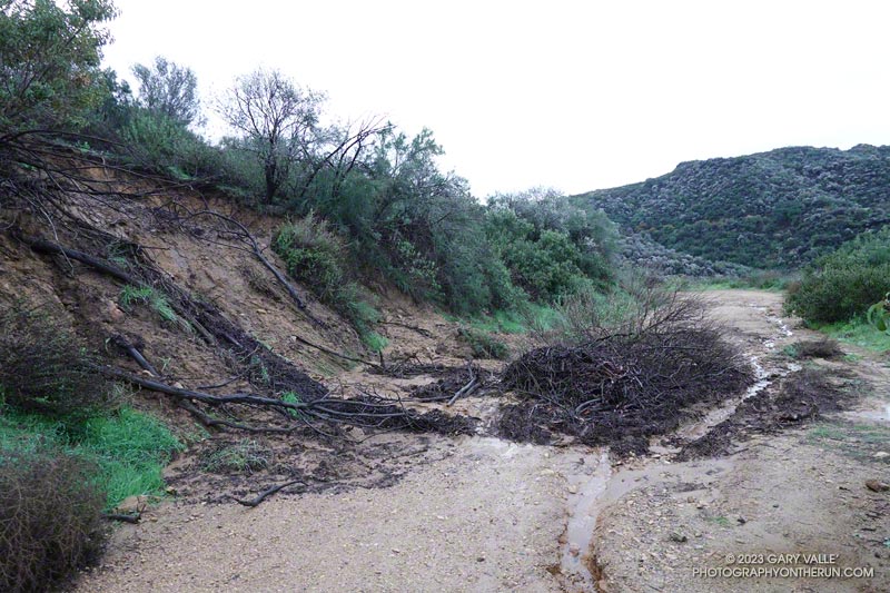 Small mudslide on Fire Road #30, Topanga State Park. January 15, 2023.