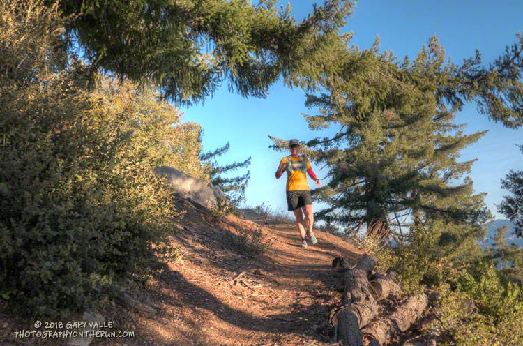 Lynn running down the Rim Trail.