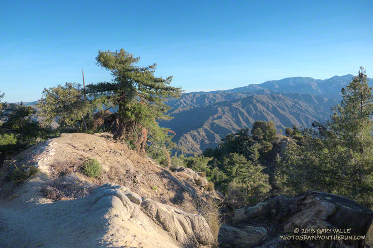 Above the canyon of the West Fork on the Rim Trail.