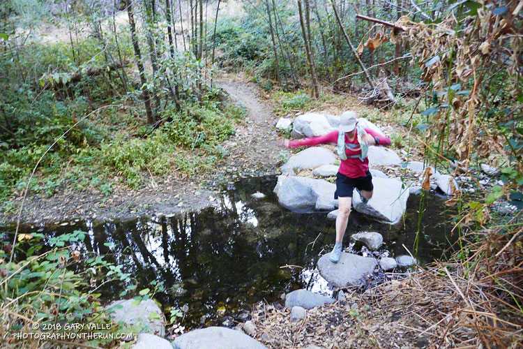 There was still a little water in the West Fork San Gabriel River.