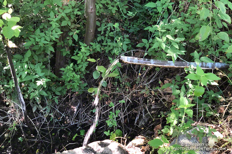 "The Pipe" along the Gabrielino Trail at West Fork Camp. From a run in June.