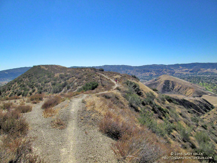 Running down the ridge near Hot Dog Hill.