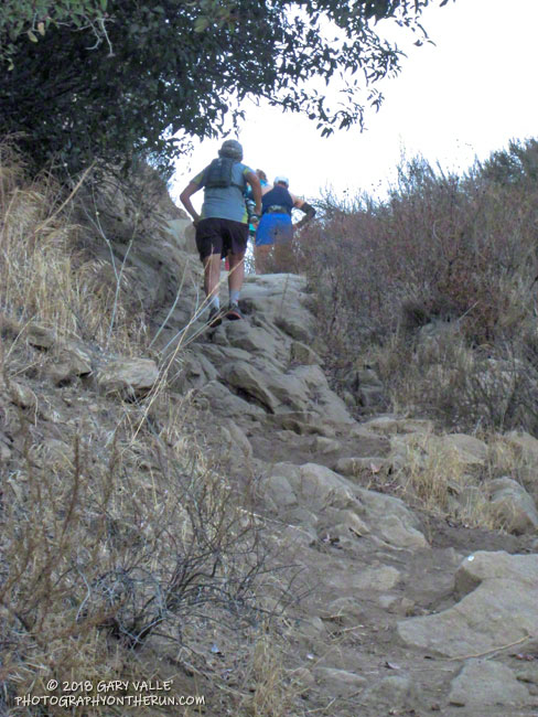 The initial steep climb on the Corridor Trai ascends about 860' in a little over a mile to Rocky Peak Road.