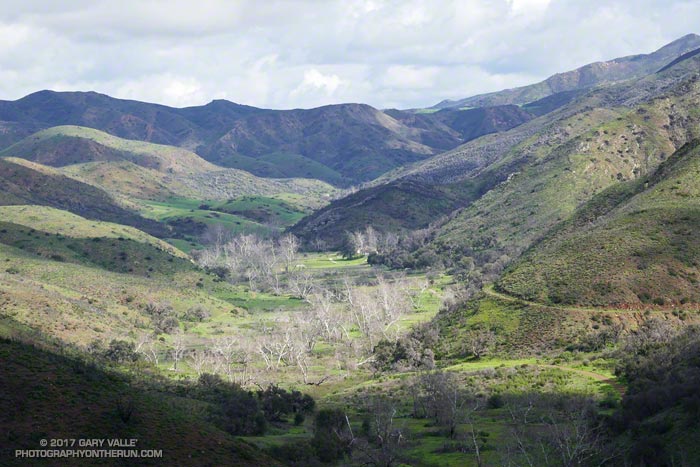 Big Sycamore Canyon from the Wood Canyon Vista Trail segment of the Backbone Trail.