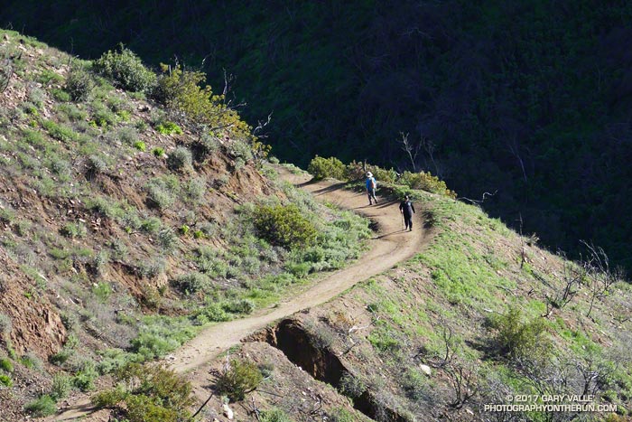 Danielson Road  in  Pt. Mugu State Park.