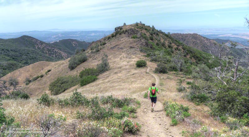 Continuing down the Bald Ridge Trail...