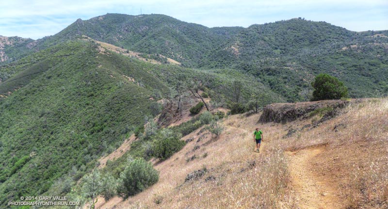 Brett ascending the Eagle Peak Trail. Mt. Diablo is the peak on the left.