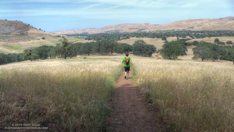 Just about to the trailhead at the Mitchell Canyon Interpretive Center and Ranger Station.