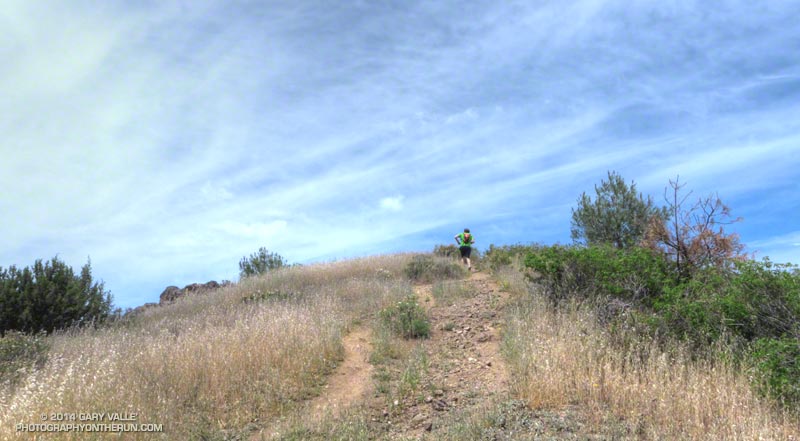 ... and then up to the top of Bald Ridge.